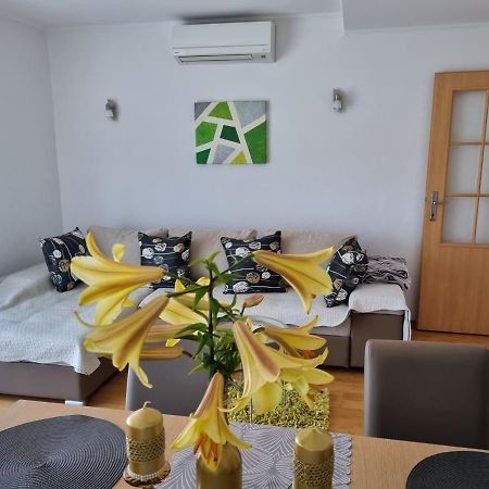 Apartment Boba 锡尼 外观 照片